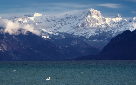 Spotlight on SIG Node