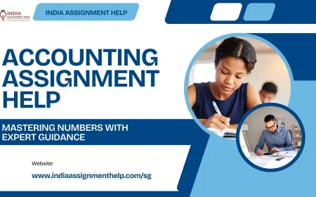 Why Students Need Professional Accounting Assignment Help