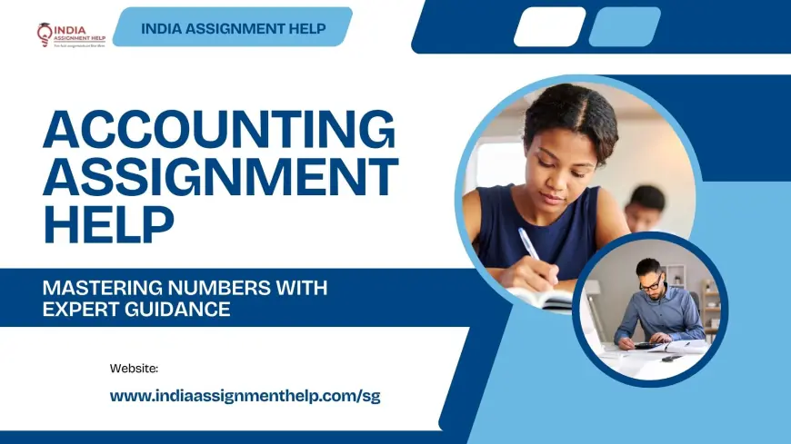 Why Students Need Professional Accounting Assignment Help