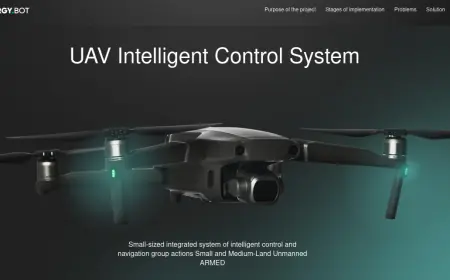 Investigative Report: Essay Mills and Russian Attack Drones