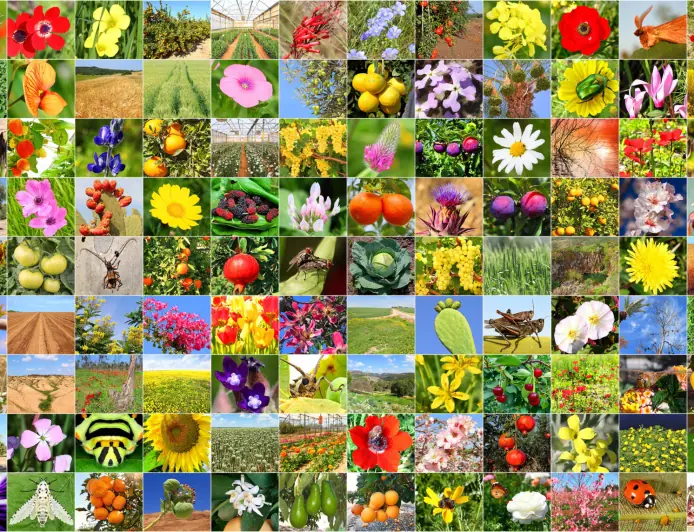 The Largest Digital Zoo: Biology Model Trained on NVIDIA GPUs