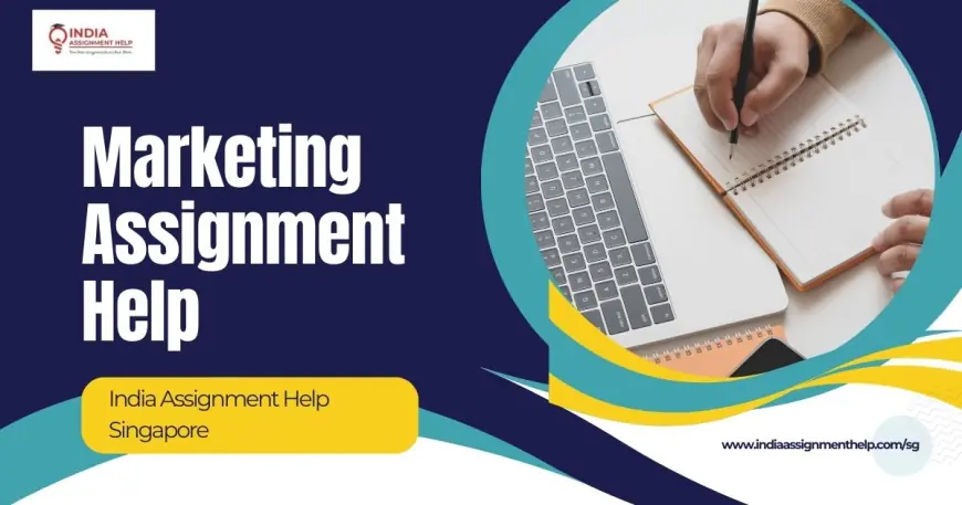 Importance of Case Studies: Understand with Marketing Assignment Help