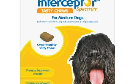 Interceptor: Protect Your Dog From Worms