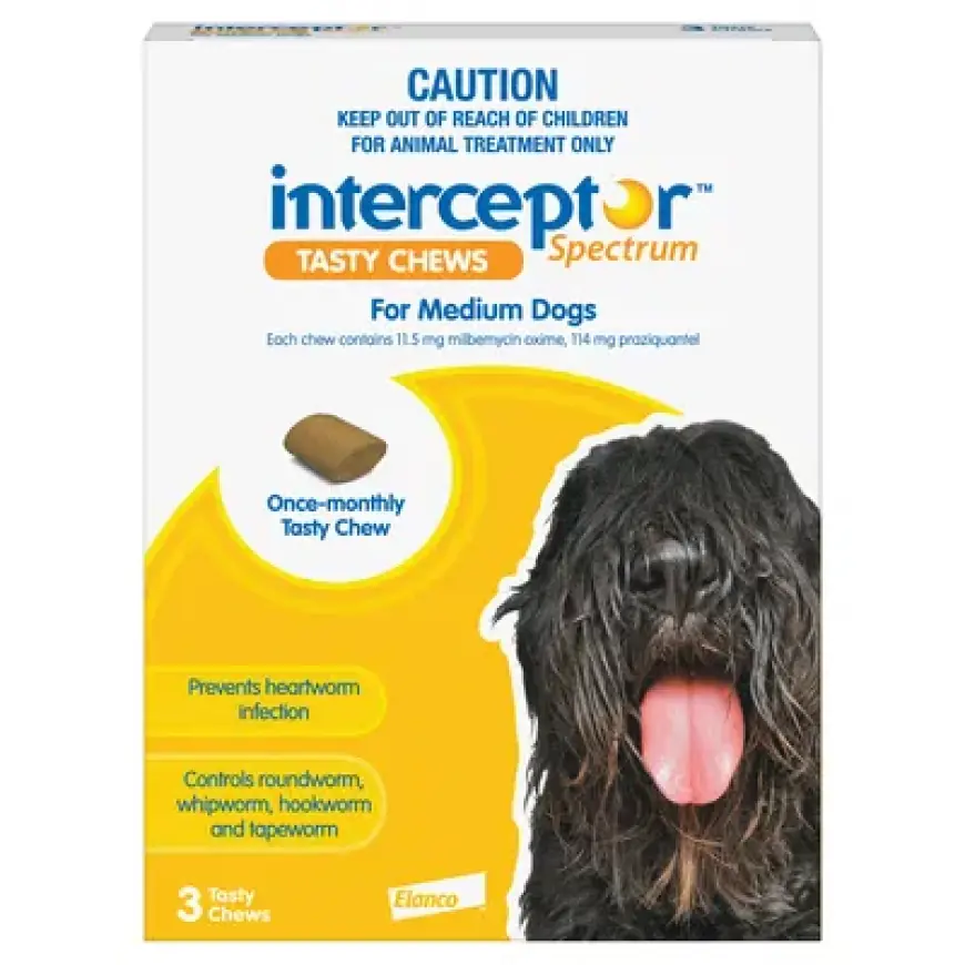 Interceptor: Protect Your Dog From Worms