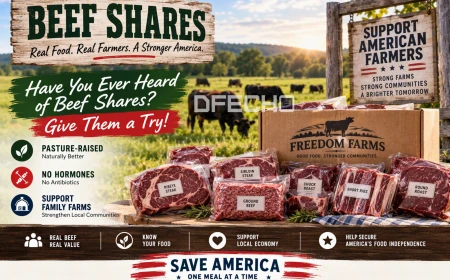 Have You Ever Heard of Beef Shares? Give Them a Try!
