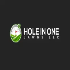 holeinonelawns
